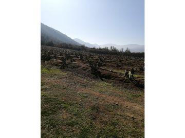 Vta Terreno sector de Aithue ,Melipilla MAN-600