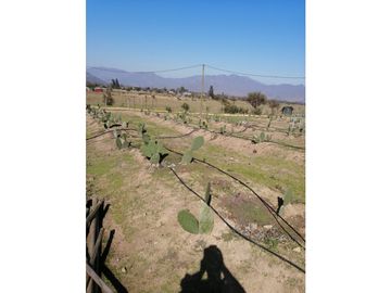 Vta Terreno sector de Aithue ,Melipilla MAN-600