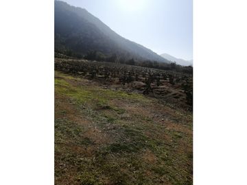 Vta Terreno sector de Aithue ,Melipilla MAN-600