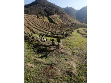 Vta Terreno sector de Aithue ,Melipilla MAN-600