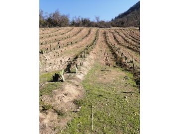 Vta Terreno sector de Aithue ,Melipilla MAN-600