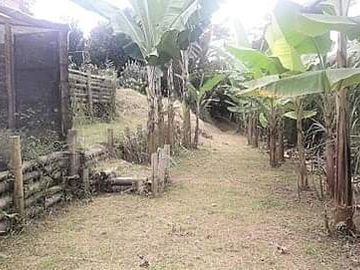 finca en venta en vía altagracia. Cod V1932