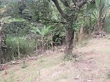 finca en venta en vía altagracia. Cod V1932