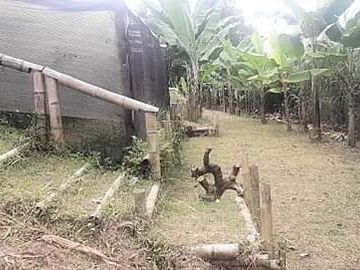 finca en venta en vía altagracia. Cod V1932