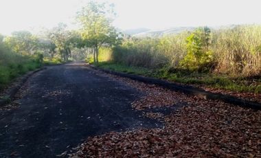 172 Sqm Subdivision Lot for Sale in El Monte Verde Consolacion Cebu