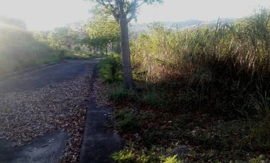 172 Sqm Subdivision Lot for Sale in El Monte Verde Consolacion Cebu