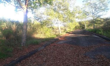 172 Sqm Subdivision Lot for Sale in El Monte Verde Consolacion Cebu
