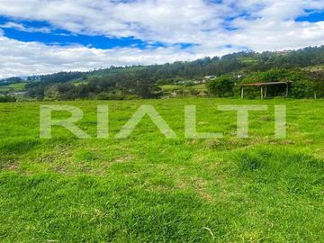 En venta terreno plano ubicado en Uyumbicho.