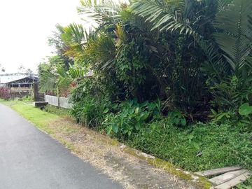 Tanah Pekarangan di Turi Akses Jalan Masuk Mobil