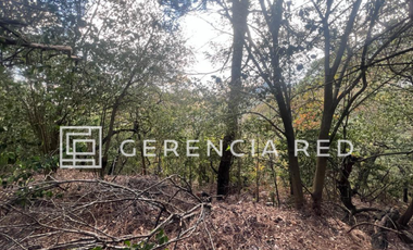 Terreno Residencial en Venta, Palmillas, San Pedro Garza García