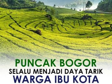 Rumah villa mewah konsep SMARTHOME DI CIANJUR DKT PUNCAK CIPANAS