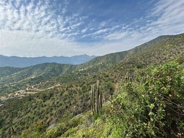 Sitio en venta en Curacaví