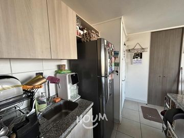 Departamento Haydn ID: 173500s