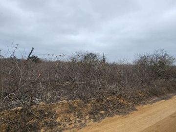 Vendo terreno 86 hectáreas, ideal para cultivo en Atahualpa, Santa Elena.