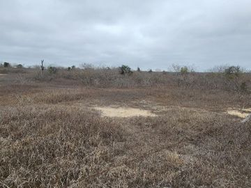 Vendo terreno 86 hectáreas, ideal para cultivo en Atahualpa, Santa Elena.