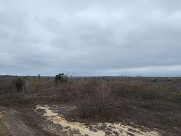 Vendo terreno 86 hectáreas, ideal para cultivo en Atahualpa, Santa Elena.