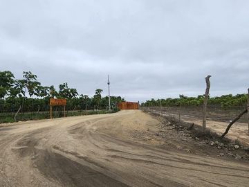 Vendo terreno 86 hectáreas, ideal para cultivo en Atahualpa, Santa Elena.