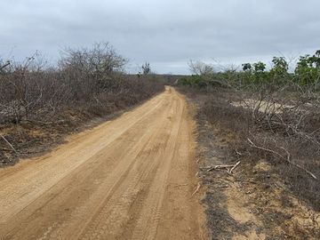 Vendo terreno 86 hectáreas, ideal para cultivo en Atahualpa, Santa Elena.