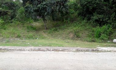 Overlooking 180 Sqm Lot for Sale in Greenwoods near Talamban Cebu City with Mountain View