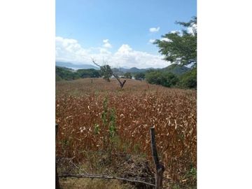 ESPLENDIDO RANCHO RINCON LIMON EN VILLA CORZO