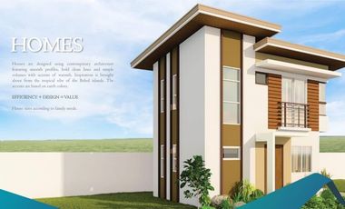 35,247/month | NEW HOUSE & LOT IN DAUIS, BOHOL
