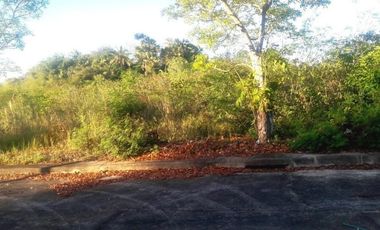 154 Sqm Overlooking Lot for Sale in Lamac Consolacion Cebu