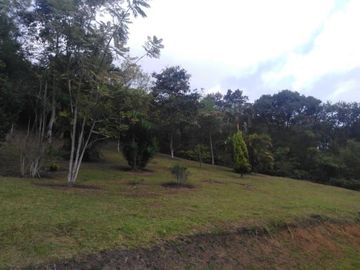 lote en venta en miralia-lotes dapa. Cod V106544