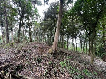 Se Vende Hermoso Terreno en Zona Alta La Rioca
