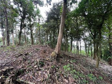 Se Vende Hermoso Terreno en Zona Alta La Rioca