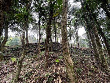 Se Vende Hermoso Terreno en Zona Alta La Rioca
