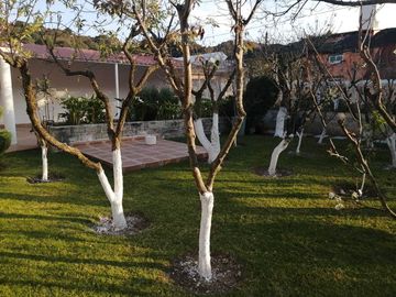 CASA HERMOSA Y AMPLIA EN OMITLAN DE JUAREZ, HIDALGO