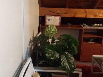 Semipiso en venta en Lanus Oeste