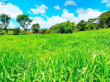 Venta de Finca Alto de Monte Lirio Tierras Altas Chiriqui