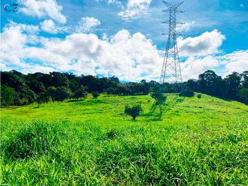Venta de Finca Alto de Monte Lirio Tierras Altas Chiriqui