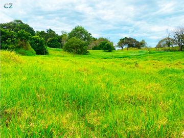 Venta de Finca Alto de Monte Lirio Tierras Altas Chiriqui