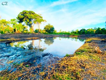 Venta de Finca Alto de Monte Lirio Tierras Altas Chiriqui