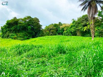 Venta de Finca Alto de Monte Lirio Tierras Altas Chiriqui