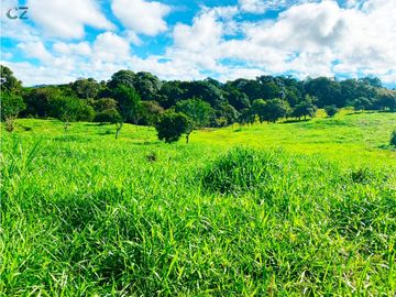 Venta de Finca Alto de Monte Lirio Tierras Altas Chiriqui