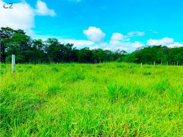 Venta de Finca Alto de Monte Lirio Tierras Altas Chiriqui