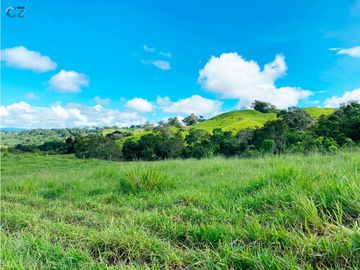 Venta de Finca Alto de Monte Lirio Tierras Altas Chiriqui