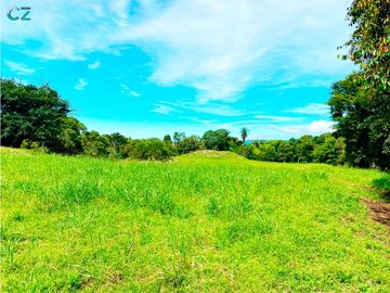 Venta de Finca Alto de Monte Lirio Tierras Altas Chiriqui
