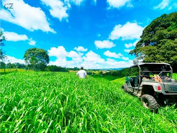 Venta de Finca Alto de Monte Lirio Tierras Altas Chiriqui