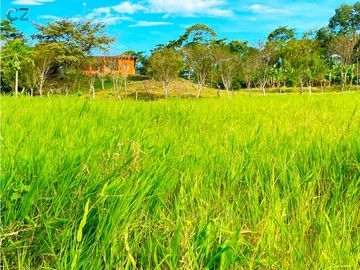 Venta de Finca Alto de Monte Lirio Tierras Altas Chiriqui