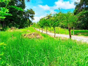 Venta de Finca Alto de Monte Lirio Tierras Altas Chiriqui