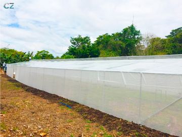 Venta de Finca Alto de Monte Lirio Tierras Altas Chiriqui