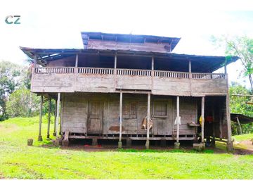 Venta de Finca Alto de Monte Lirio Tierras Altas Chiriqui
