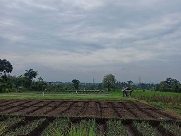 DIJUAL TANAH MURAH 180JT SAJA