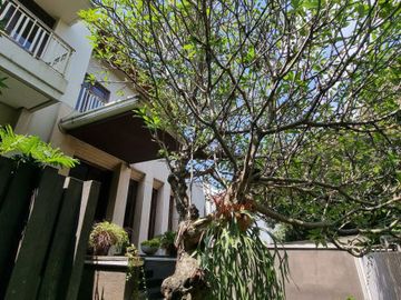 RUMAH at Jl PANGLIMA POLIM, PANGPOL, KEBAYORAN BARU, JAKSEL