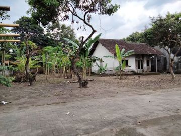 Tanah Sleman Disewakan di Demangan: Luas 1.100m2