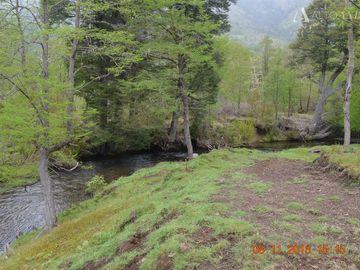 Sitio en Venta en Rio Panqui